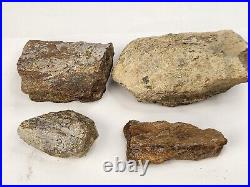 Jurassic 2.3 lb Dinosaur Bone Fossil Bulk Lot Morrison Fm. Big Horn Co, WY