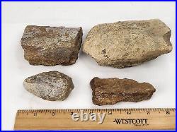 Jurassic 2.3 lb Dinosaur Bone Fossil Bulk Lot Morrison Fm. Big Horn Co, WY