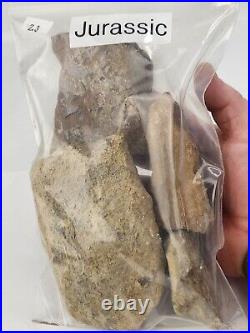 Jurassic 2.3 lb Dinosaur Bone Fossil Bulk Lot Morrison Fm. Big Horn Co, WY