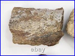 Jurassic 2.3 lb Dinosaur Bone Fossil Bulk Lot Morrison Fm. Big Horn Co, WY