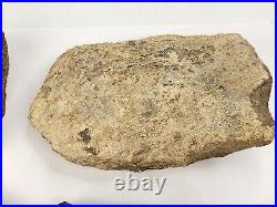 Jurassic 2.3 lb Dinosaur Bone Fossil Bulk Lot Morrison Fm. Big Horn Co, WY