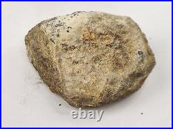 Jurassic 2.3 lb Dinosaur Bone Fossil Bulk Lot Morrison Fm. Big Horn Co, WY