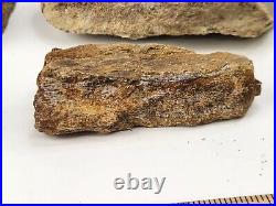 Jurassic 2.3 lb Dinosaur Bone Fossil Bulk Lot Morrison Fm. Big Horn Co, WY