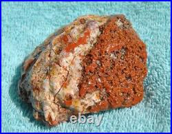 Jurassic Dinosaur Bone Ball Joint Fossil Gembone Crimson & Pearl 208gr-7.3oz