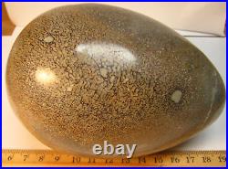 LARGE 1259g 2.77lbs 7in 127mm TALL 86mm FOSSIL DINOSAUR BONE WithSTAND MADAGASCAR