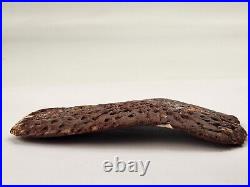 Large Cretaceous Crocodilian Scute (Osteoderm) Kem Kem Beds Morocco