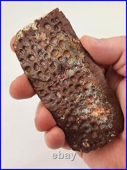 Large Cretaceous Crocodilian Scute (Osteoderm) Kem Kem Beds Morocco