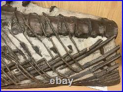 Large Ichthyosaur Fossil Jurassic Coast Vertebra Bone Block Dinosaur