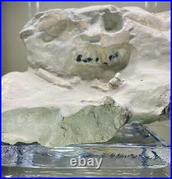 Large Oreodont Fossil Skull and Bone in Matrix from White River Formation