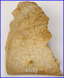 Large Unidentified Dinosaur Bone Fossil Kem Kem Beds Cretaceous Morocco