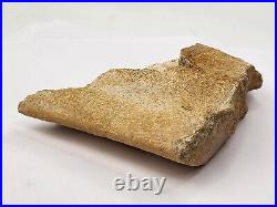 Large Unidentified Dinosaur Bone Fossil Kem Kem Beds Cretaceous Morocco