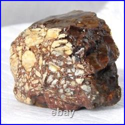 Lucky Dinosaur Snickers Talisman Gembone Holistic Healing Clairvoyant 219gr