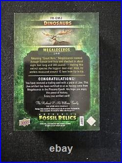 MEGALOCEROS FR-GMJ 2015 Upper Deck Dinosaurs Authentic Fossil Relics Jaw Bone