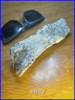 Mesohippus Dinosaur Leg Bone Authentic