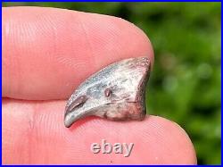 NICE Theropod Dinosaur Claw Fossil from Niger Dino Bones Kryptops Eocarcharia