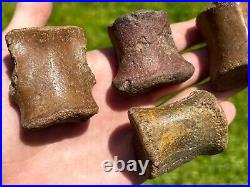 Niger Fossil Dinosaur Vertebrae LOT Bone Sarcosuchus Kryptops Eocarcharia Rare