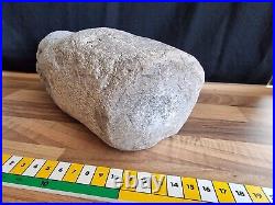 Pliosaur Limb Bone From The Jurassic Coast Dorset