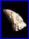 RARE Theropod Dinosaur Claw Fossil From Niger Dino Bones Kryptops Eocarcharia