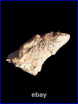 RARE Theropod Dinosaur Claw Fossil From Niger Dino Bones Kryptops Eocarcharia