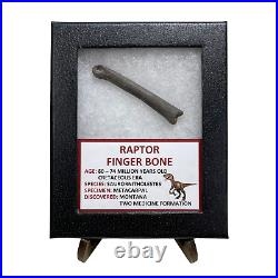 Raptor Finger Bone