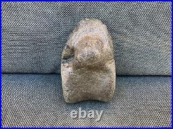 Rare Plesiosaur Vertebrae Fossil Bone Jurassic Marine Reptile, Whitby, Yorkshire