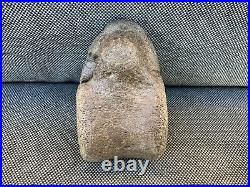 Rare Plesiosaur Vertebrae Fossil Bone Jurassic Marine Reptile, Whitby, Yorkshire