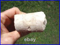 Rare Rihno Metapodial Toe Bone Valley Florida Fossils Miocene Extinct Tooth Age