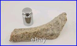 Real DINOSAUR BONE