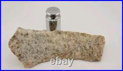 Real DINOSAUR BONE