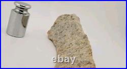 Real DINOSAUR BONE