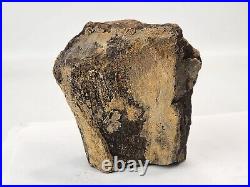 Sauropod Limb Bone End Fossil (Fibula) Self Dug Morrison Fm. Big Horn, WY