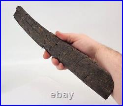 Sauropod Rib Bone Fossil Personal Find Morrison Fm. Big Horn Co, WY