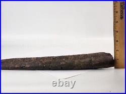 Sauropod Rib Bone Fossil Personal Find Morrison Fm. Big Horn Co, WY