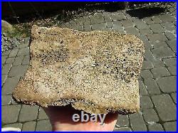 Scarce Pc Fossil Dinosaur Bone Specimen, 6 Pounds 14.3 Ounce