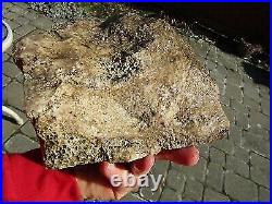 Scarce Pc Fossil Dinosaur Bone Specimen, 6 Pounds 14.3 Ounce