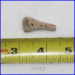 Small Dinosaur/Reptile/Raptor Bone FOSSIL Hell Creek Formation Cretaceous