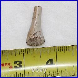 Small Dinosaur/Reptile/Raptor Bone FOSSIL Hell Creek Formation Cretaceous