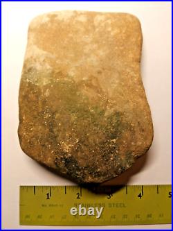 Stegosaurus Fossil Dorsal Plate Lower Cretacious Texas Glen Rose Formation