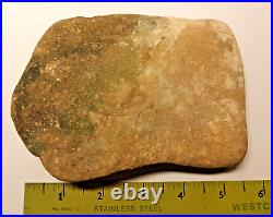 Stegosaurus Fossil Dorsal Plate Lower Cretacious Texas Glen Rose Formation