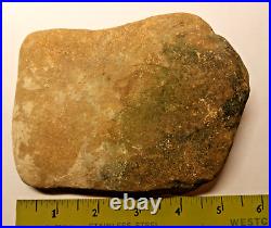 Stegosaurus Fossil Dorsal Plate Lower Cretacious Texas Glen Rose Formation