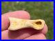 Struthiomimus Toe Bone Theropod Dinosaur Bone Montana Two Medicine Fm Rare