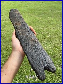 Super Large Fossilized Extinct Baleen Whale Bone Fossil Segment- Not Modern