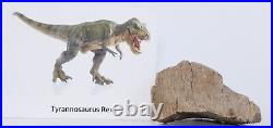Superb Tyrannosaurus rex T Rex Limb Bone Hell Creek Fm South Dakota SD COA 6148