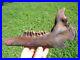 The Finest Extinct Llama Jaw Bone Florida Fossil Ice Age Tooth Skull Bones Camel