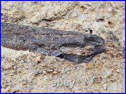 Theropod Bone Fossil In Matrix Personal Find Morrison Fm. Big Horn Co, WY