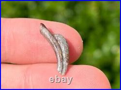 Theropod Dinosaur Claw Fossil from Niger Rare Dino Bones Kryptops Eocarcharia