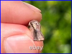 Theropod Dinosaur Claw Fossil from Niger Rare Dino Bones Kryptops Eocarcharia