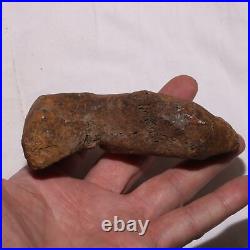 Theropod Metacarpal Hand Bone DINOSAUR FOSSIL Hell Creek Formation Cretaceous