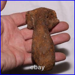 Theropod Metacarpal Hand Bone DINOSAUR FOSSIL Hell Creek Formation Cretaceous