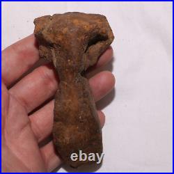 Theropod Metacarpal Hand Bone DINOSAUR FOSSIL Hell Creek Formation Cretaceous